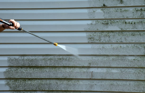 Best Roof Power Washing Services  in Curtice, OH