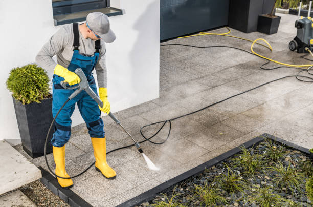 Best Pressure Washing Services Near Me  in Curtice, OH