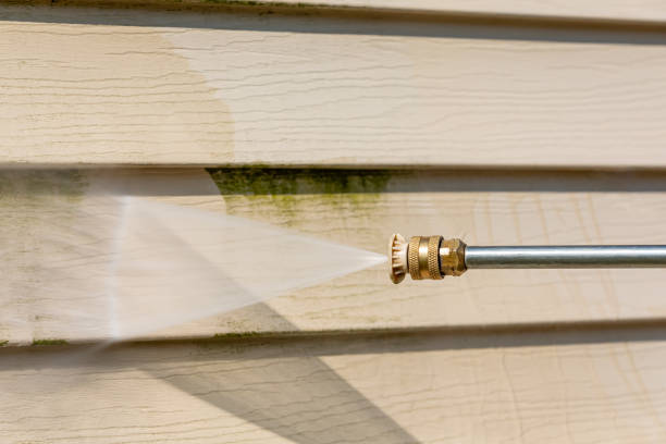 Best Affordable Power Washing  in Curtice, OH
